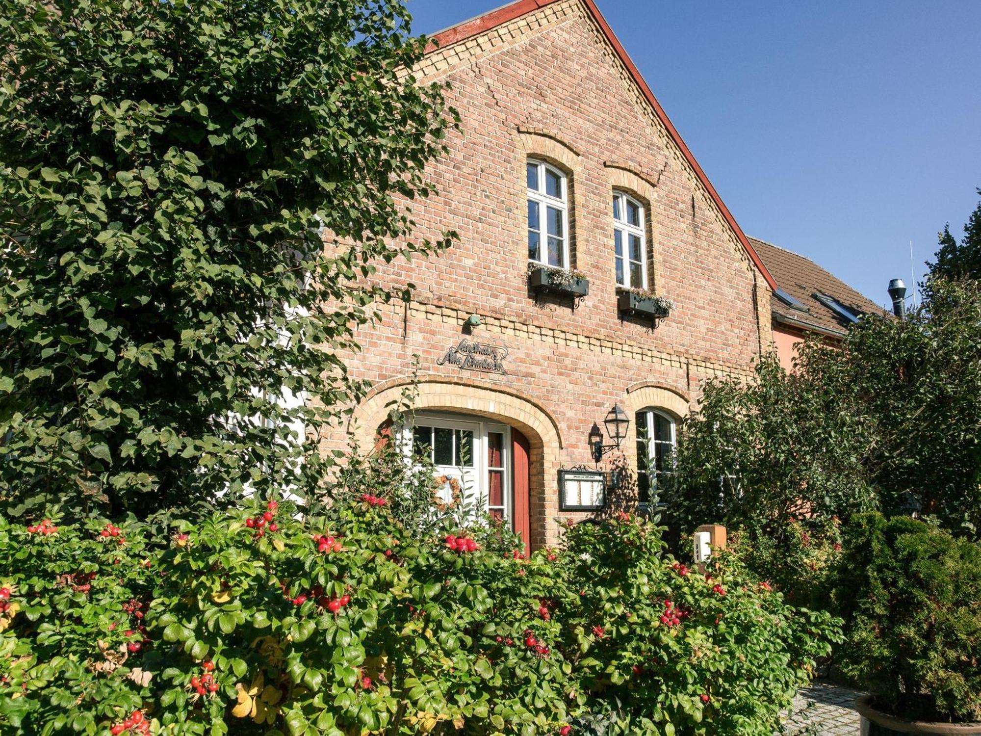 Landhaus Alte Schmiede Niemegk  Экстерьер фото